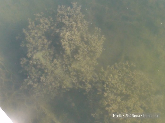 Наша прогулка в парке — Куклы Lee Middleton (Ли Миддлтон): Reva Schick