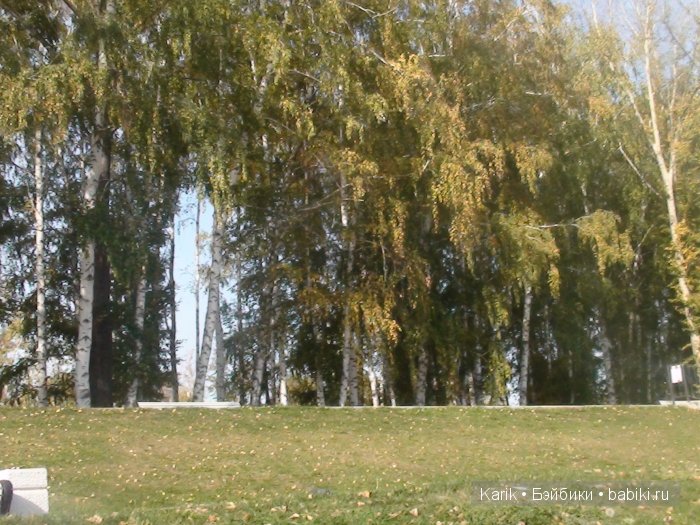 Наша прогулка в парке — Куклы Lee Middleton (Ли Миддлтон): Reva Schick