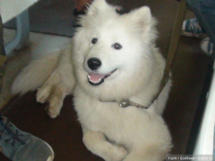 Наше лето 1 часть — Туризм и путешествия: фотоотчеты из поездок