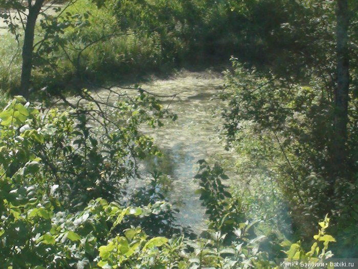 Наше лето 1 часть — Туризм и путешествия: фотоотчеты из поездок (фото 2)