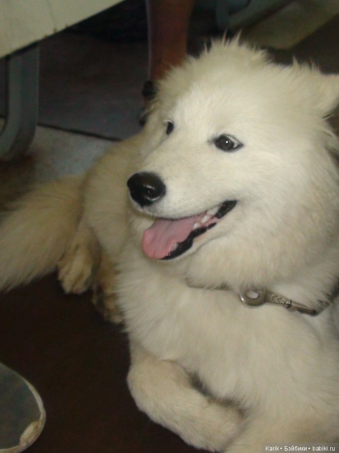 Наше лето 1 часть — Туризм и путешествия: фотоотчеты из поездок