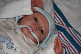 Венечка,молд Соледад