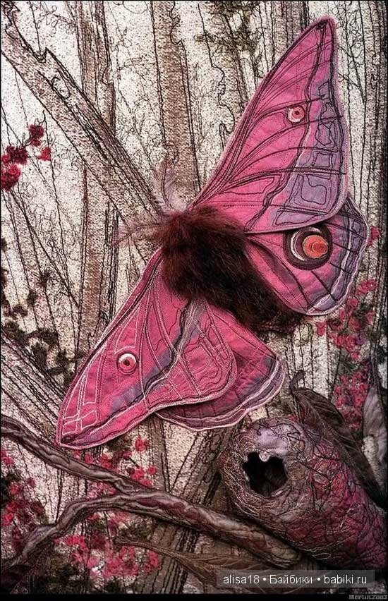 Австралийская художница Аннемиеке Мейн (Annemieke Mein)