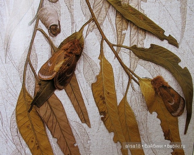 Австралийская художница Аннемиеке Мейн (Annemieke Mein)