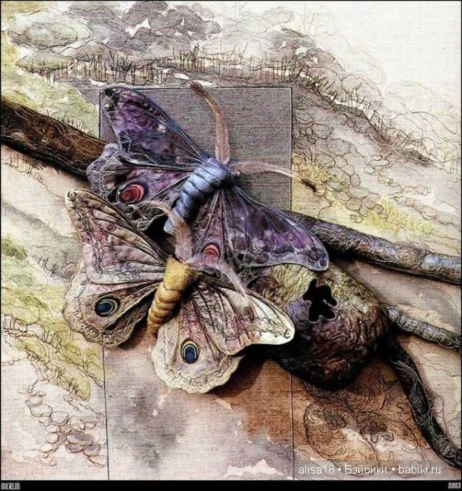 Австралийская художница Аннемиеке Мейн (Annemieke Mein)