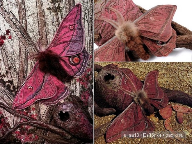 Австралийская художница Аннемиеке Мейн (Annemieke Mein)