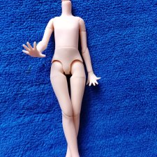 Вопрос по пересадке головы Харуки на Азон