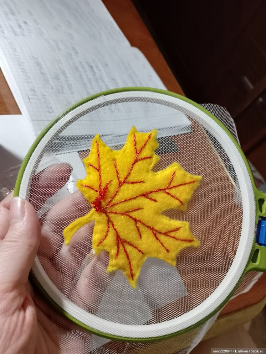 Изделия из фетра. Он такой притягательный