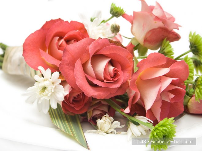 Легенды о розе — Интересное и необычное: фотоподборки