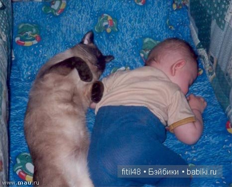 Кошачая колыбельная — Интересное и необычное: фотоподборки (фото 4)