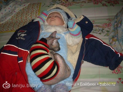 Кошачая колыбельная — Интересное и необычное: фотоподборки
