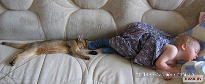 Кошачая колыбельная — Интересное и необычное: фотоподборки