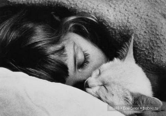Кошачая колыбельная — Интересное и необычное: фотоподборки (фото 5)
