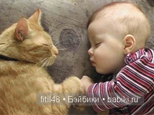 Кошачая колыбельная — Интересное и необычное: фотоподборки (фото 6)