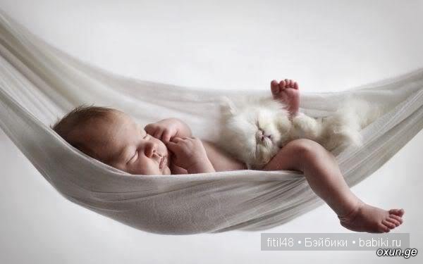Кошачая колыбельная — Интересное и необычное: фотоподборки