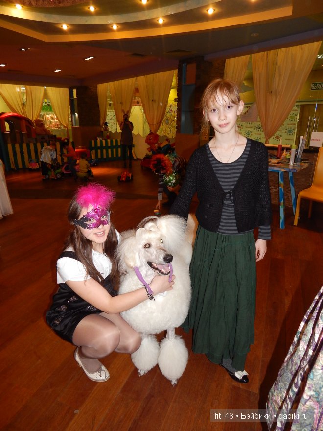 Новогодний карнавал в кукольной стране