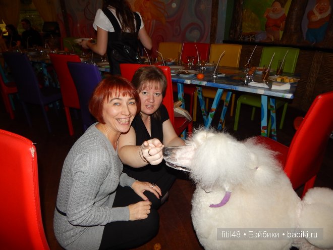 Новогодний карнавал в кукольной стране