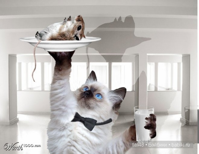 Кошки-мышки — Куклы Реборн (Reborn): домашние фото (фото 6)