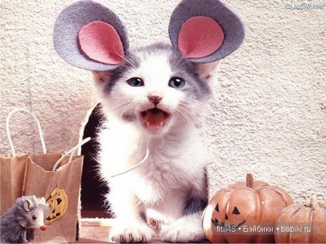 Кошки-мышки — Куклы Реборн (Reborn): домашние фото