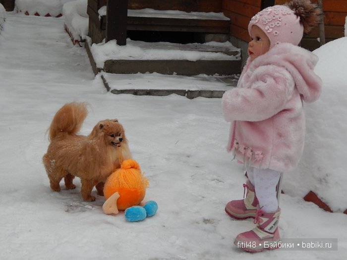 Лучший друг — Куклы Реборн (Reborn): домашние фото