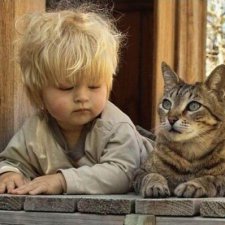 Кошки - лучшие няньки