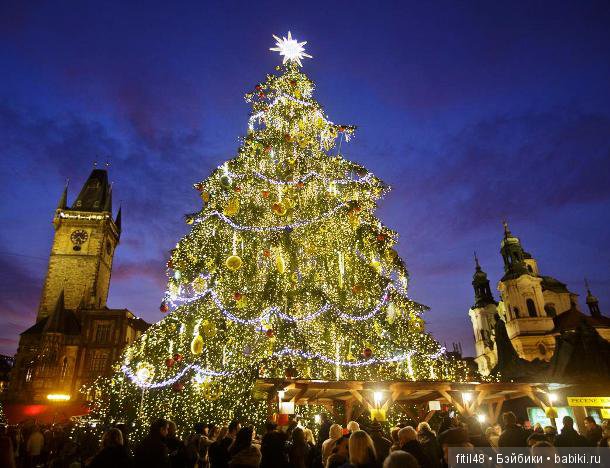 25 самых красивых елок в мире