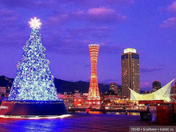 25 самых красивых елок в мире