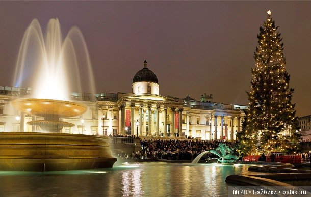 25 самых красивых елок в мире