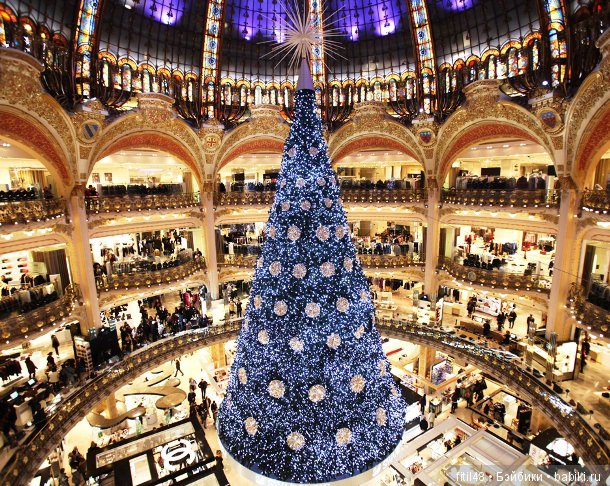 25 самых красивых елок в мире (фото 3)