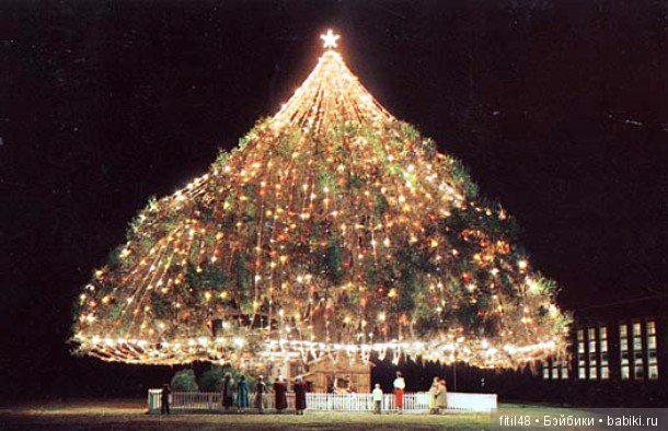 25 самых красивых елок в мире