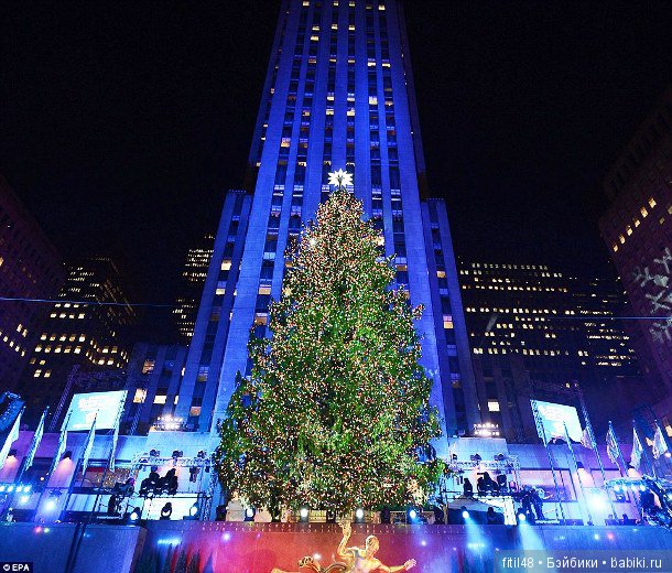 25 самых красивых елок в мире