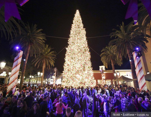 25 самых красивых елок в мире