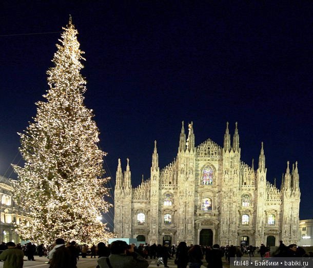 25 самых красивых елок в мире (фото 7)