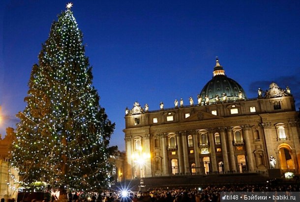 25 самых красивых елок в мире (фото 9)