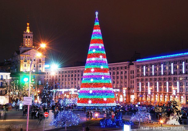 25 самых красивых елок в мире (фото 4)