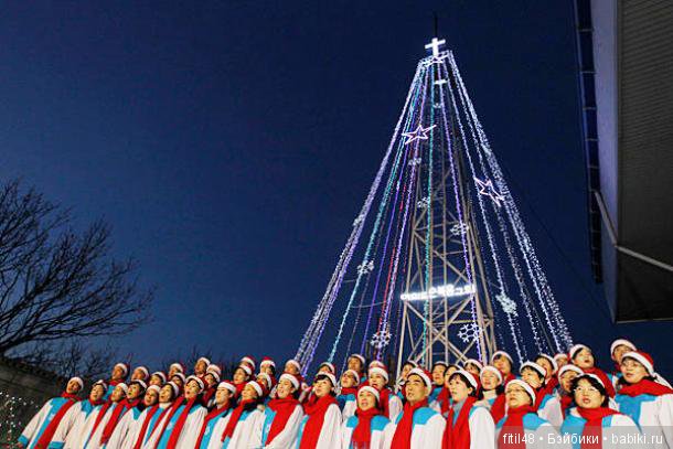 25 самых красивых елок в мире (фото 6)