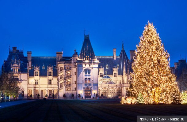 25 самых красивых елок в мире