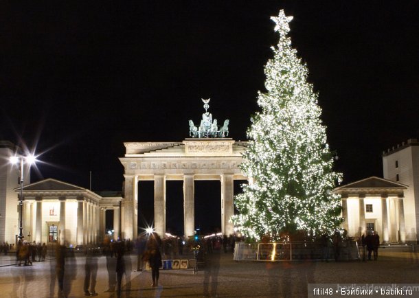 25 самых красивых елок в мире