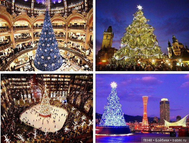 25 самых красивых елок в мире