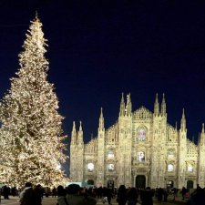 25 самых красивых елок в мире