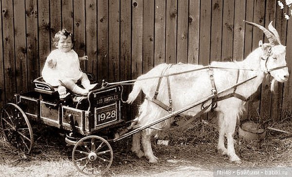 Детская коляска - 200-летняя метаморфоза" Часть I. Прообразы современной коляски: тачки, тележки, детские экипажи и кареты