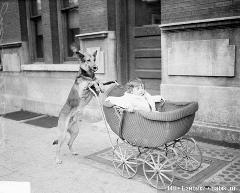 Детская коляска. Часть 5. Периоды демографических взрывов после I и II Мировых войн