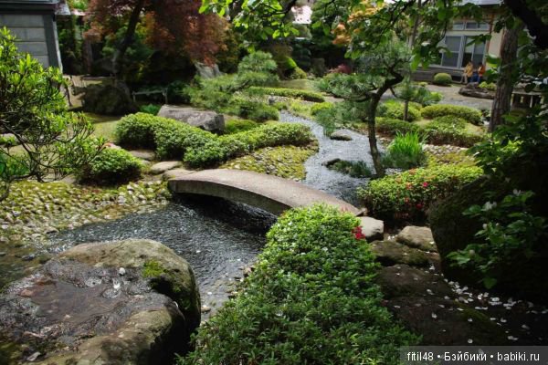 Как обустроить дачный участок (фото 5)