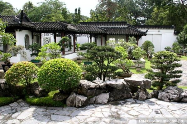 Как обустроить дачный участок