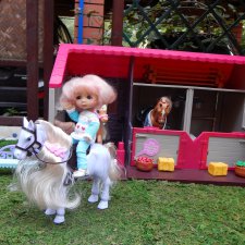 Ника на конюшне