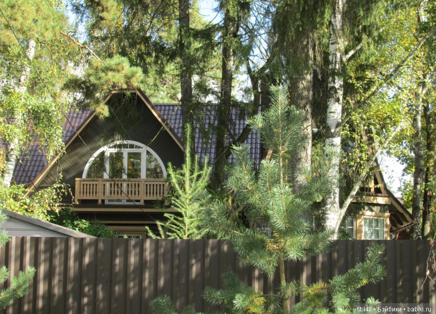 Дачная Малаховка | Бэйбики Дачная Малаховка — Интересное и необычное: фотоподборки