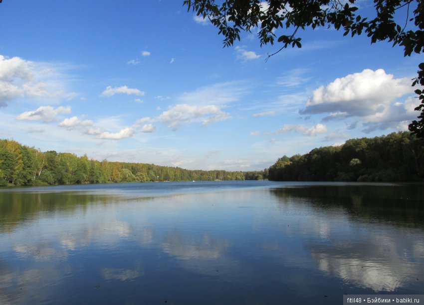Дачная Малаховка | Бэйбики Дачная Малаховка — Интересное и необычное: фотоподборки