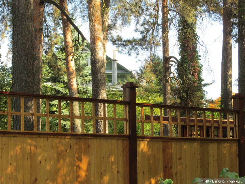 Дачная Малаховка | Бэйбики Дачная Малаховка — Интересное и необычное: фотоподборки (фото 8)