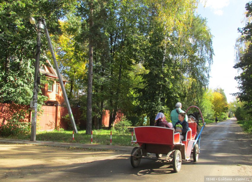 Дачная Малаховка | Бэйбики Дачная Малаховка — Интересное и необычное: фотоподборки (фото 5)