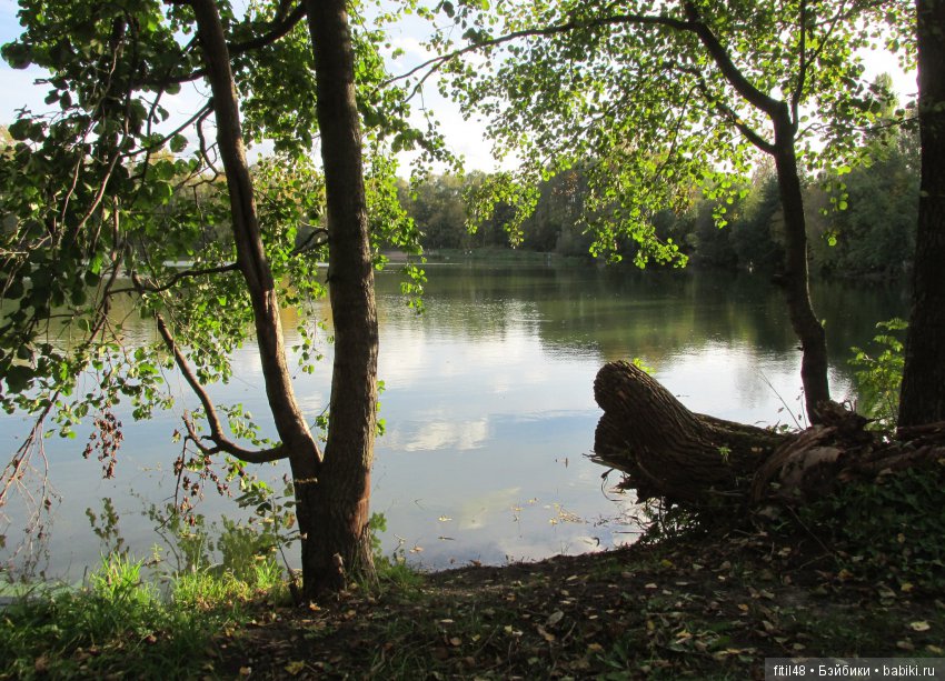 Дачная Малаховка | Бэйбики Дачная Малаховка — Интересное и необычное: фотоподборки